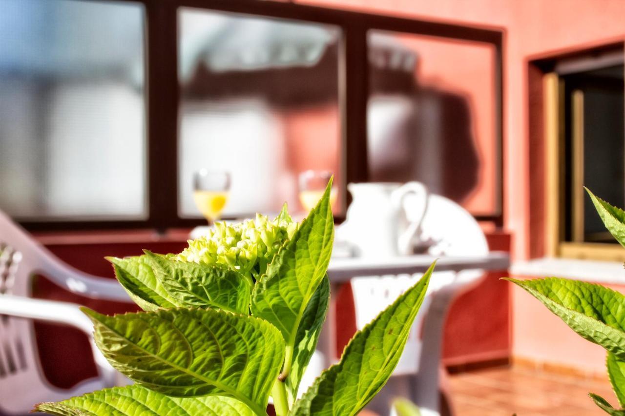 Hotel Covadonga Onís エクステリア 写真